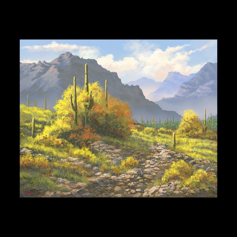 Spring In The Desert
